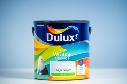 Dulux-Walls--Ceilings-Silk-25L