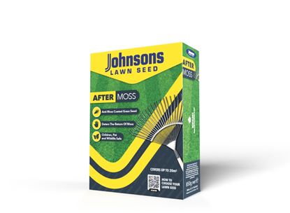 Johnsons-Lawn-Seed-After-Moss