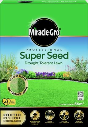 Miracle-Gro-Professional-Super-Seed-Drought-Tolerant-Lawn