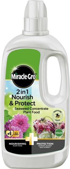 Miracle-Gro-Nourish--Protect-Seaweed-Plant-Food