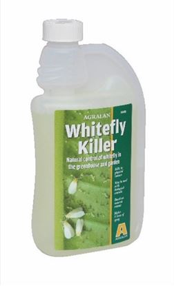 Agralan-Whitefly-Killer