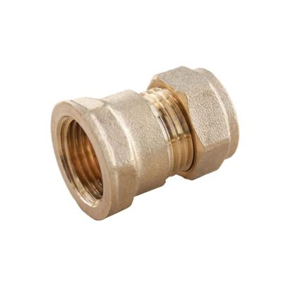 Securplumb-Comp-Straight-Connector-Female