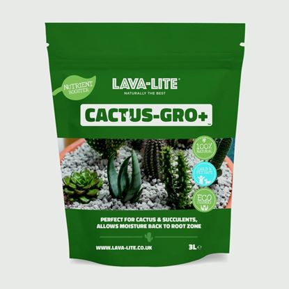 LAVA-LITE-Cactus---Gro