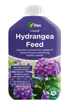 Vitax-Hydrangea-Feed-Liquid