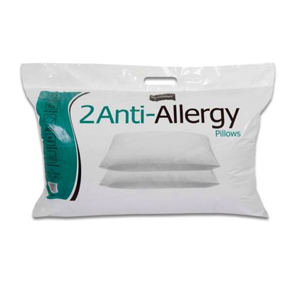 Anti-Allergy-Pillow