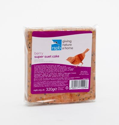 Rspb-Super-Suet-Cake-With-Berry