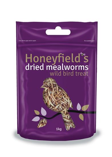 Honeyfields-Mealworms