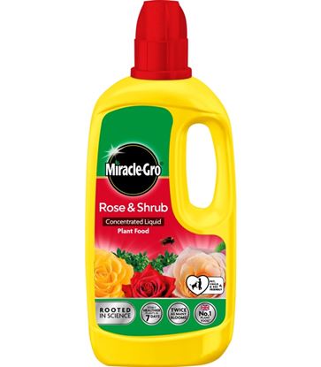 Miracle-Gro-Rose--Shrub-Concentrated-Plant-Food