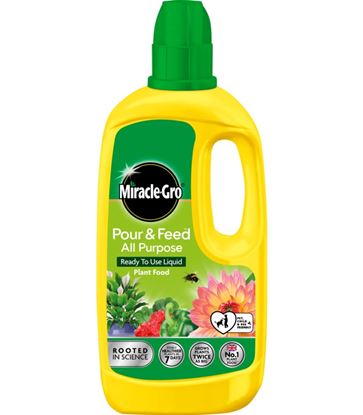 Miracle-Gro-Pour--Feed