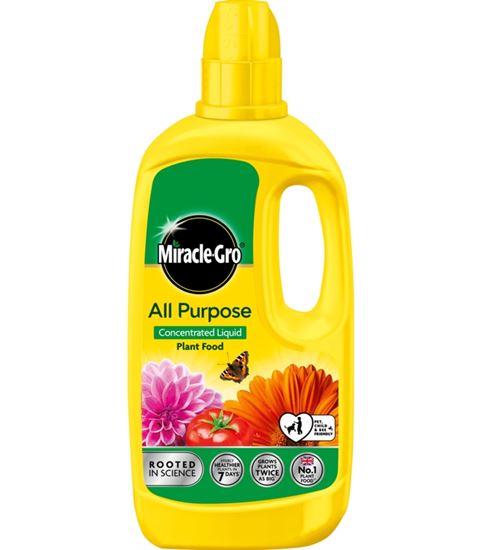Miracle-Gro-All-Purpose-Concentrate