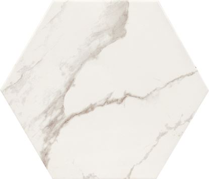 Ceramics-Marmi-Hexagon-Blanco-Wall-Tile-075m2