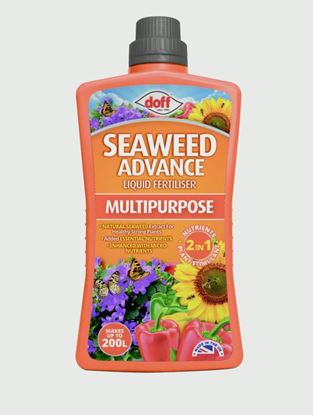 Doff-Seaweed-Advanced-Multi-Purpose