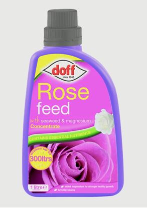 Doff-Rose-Feed