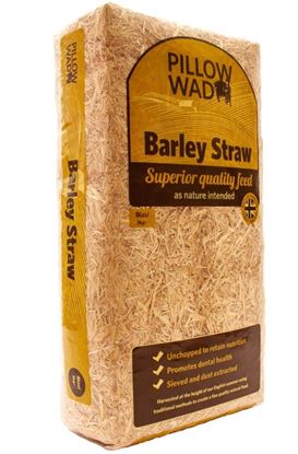 Pillow-Wad-Maxi-Barley-Straw