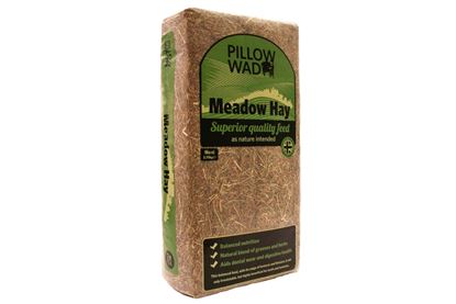 Pillow-Wad-Maxi-Meadow-Hay