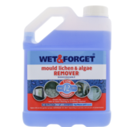 Wet--Forget-Mould-Lichen--Algae-Remover
