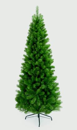 Premier-Slim-Spruce-Tree