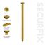 Securfix-Trade-Pack-Concrete-Frame-Screw-10-Pack