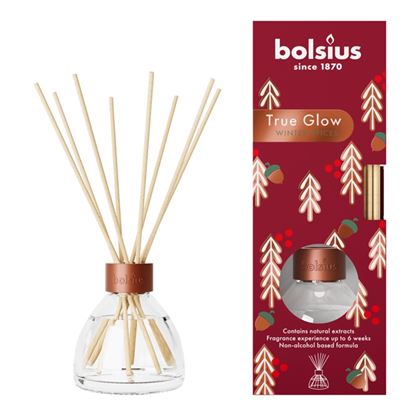 Bolsius-True-Glow-Fragrance-Diffuser-Winterspice-45ml-Glass