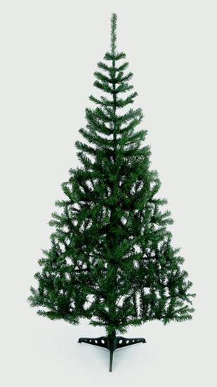 Premier-Green-Cedar-Fir-Tree