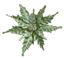 Premier-Velour-Clip-On-Poinsettia