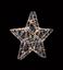 Premier-Wire-Star-With-30-LEDs