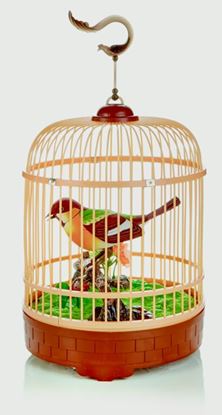 Premier-Bird-In-Cage-With-Sound