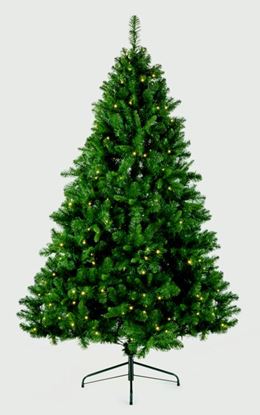 Premier-Pre-lit-Oregon-Pine-Indoor-Outdoor-Tree