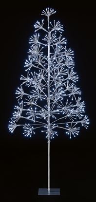 Premier-12m-Silver-Tree