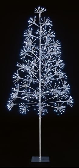 Premier-12m-Silver-Tree