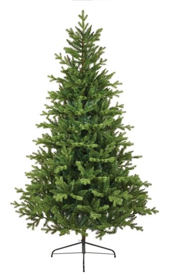 Premier-Elsie-Pine-Tree