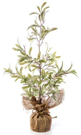 Premier-Natural-Mistletoe-Tree-In-Jute-Pot