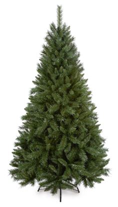 Premier-Majestic-2-Tone-Green-Pine-Tree