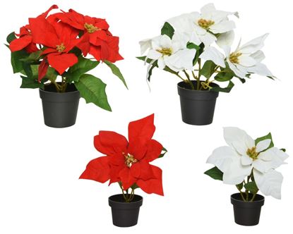 Kaemingk-Silk-Poinsettia-In-Pot-Assorted