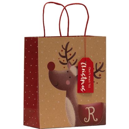 Partisan-Rudolph-Bag