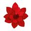 Premier-Flower-With-Clip