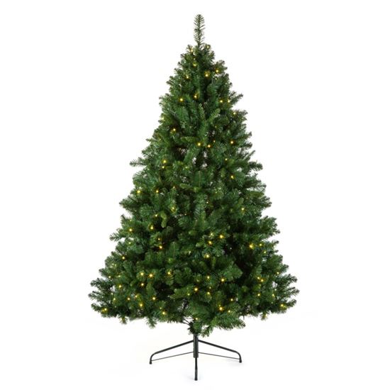 Premier-Pre-Lit-Oregon-Pine-Tree