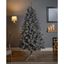 Premier-Deluxe-Silver-Tipped-Fir