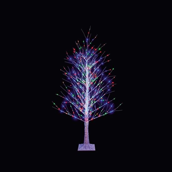 Premier-15m-Birch-Tree-Multi-Coloured