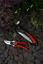 Wilkinson-Sword-Folding-Saw--Pruner-Set