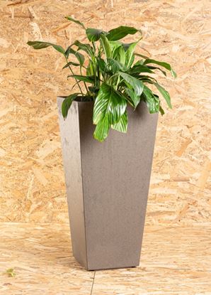 Primeur-Sonata-Oak-Planter