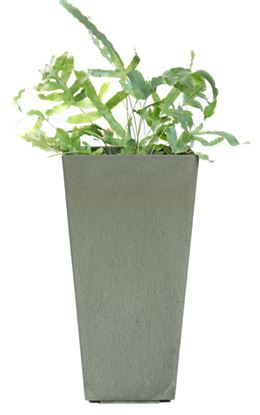 Primeur-Sonata-Blossom-Planter