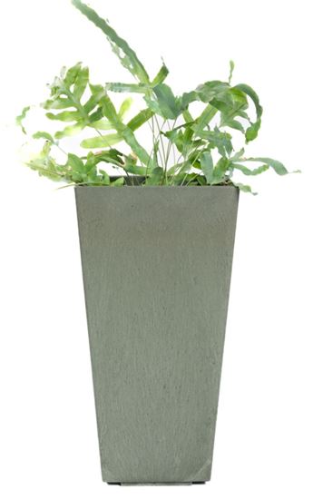 Primeur-Sonata-Blossom-Planter