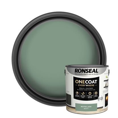 Ronseal-One-Coat-Everywhere-Matt--Paint-25L