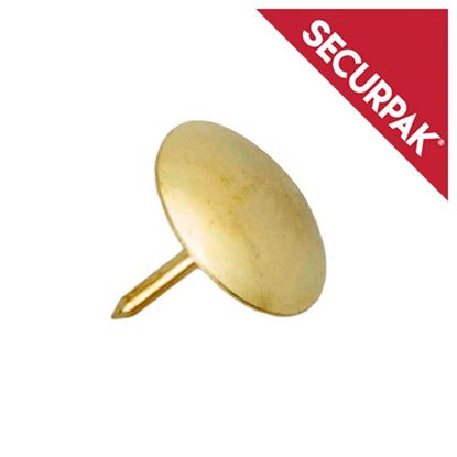 Securpak-Drawing-Pins-EB