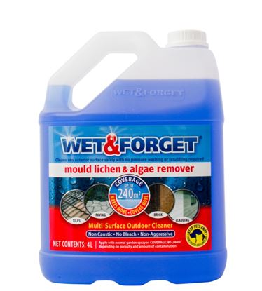 Wet--Forget-Mould-Lichen-Algae-Remover