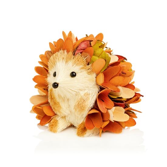 Premier-Sitting-Autumn-Bristle-Hedgehog