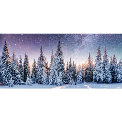 Premier-Twilight-Snow-Forest-Backdrop