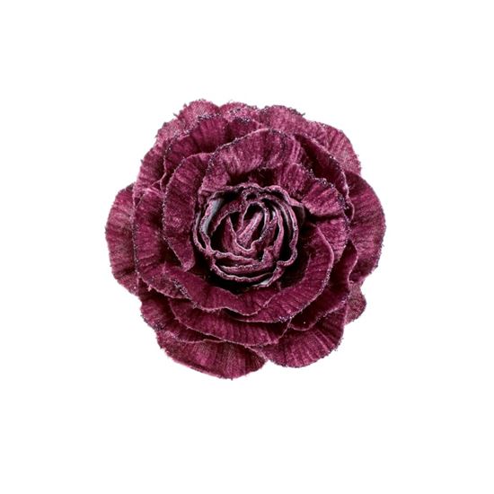 Premier-Plum-Velvet-Glitter-Rose