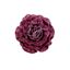 Premier-Plum-Velvet-Glitter-Rose